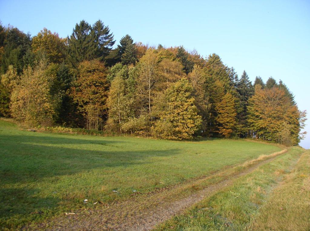 SchöfwegFerienland Sonnenwaldアパートメント エクステリア 写真