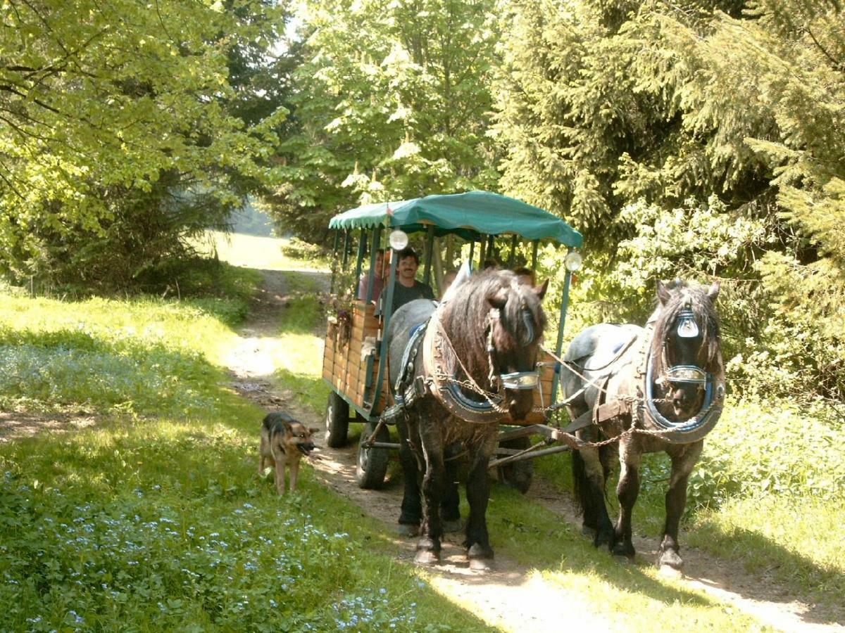 SchöfwegFerienland Sonnenwaldアパートメント エクステリア 写真